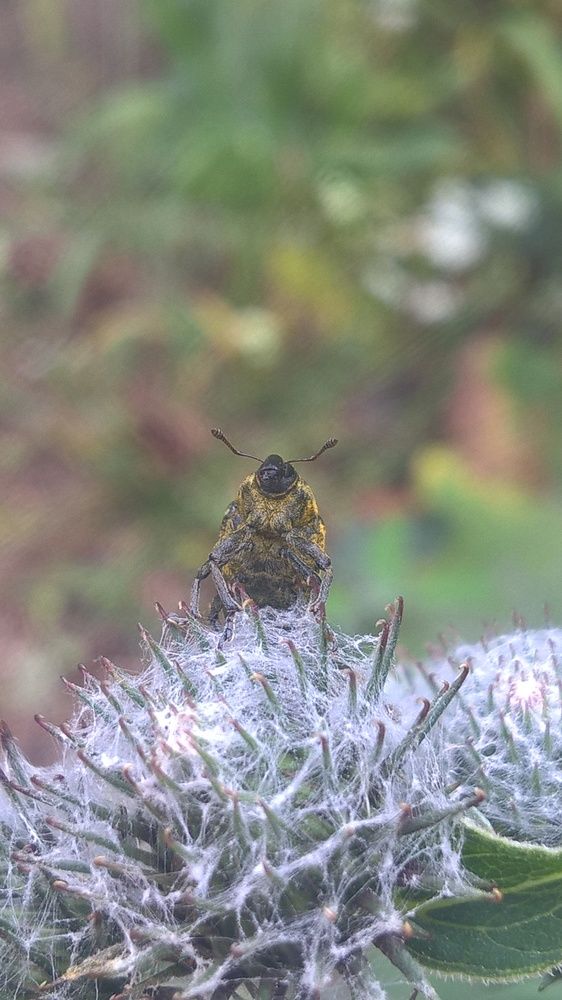 Photograph by Олеся Купча