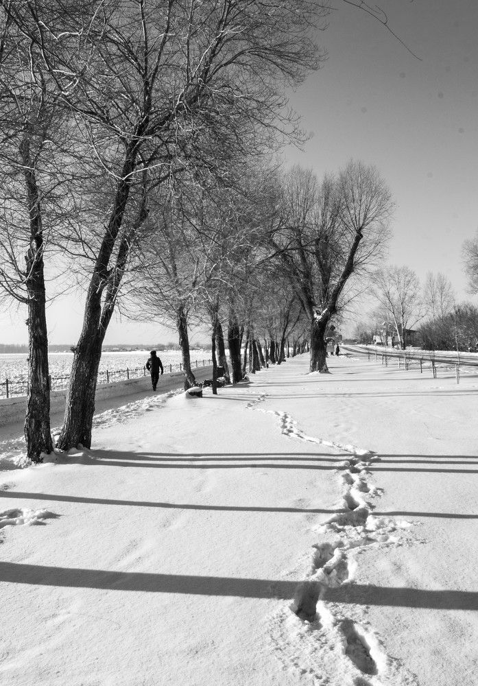 Photograph by Тогжан Таминбаева