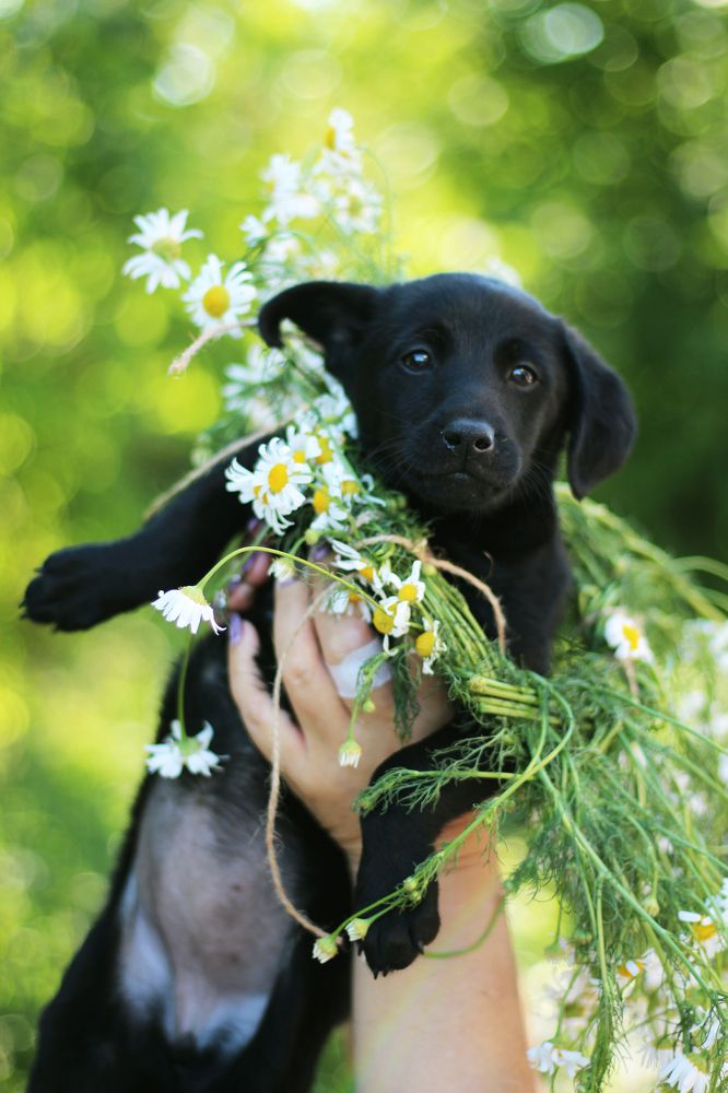 Photograph by Екатерина