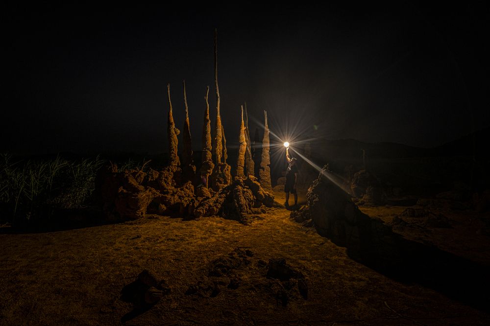 Photograph by Amelia Pardo