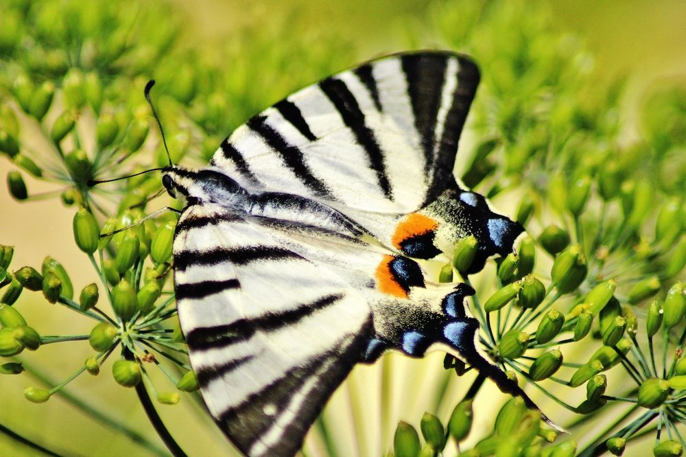 Photograph by Анна Восковых