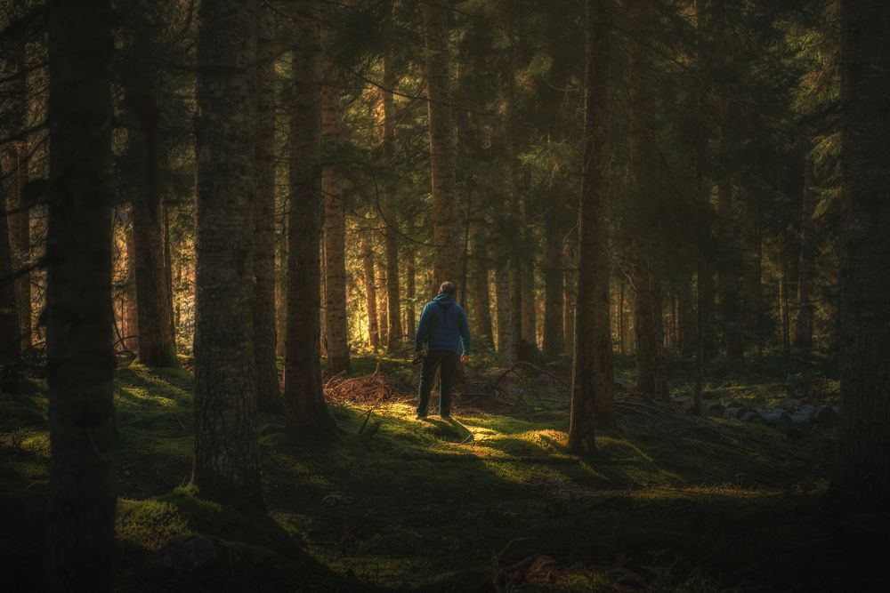 Photograph by Helen Vasilieva