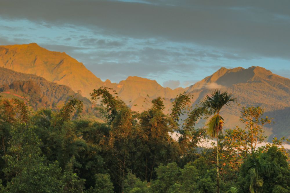 Photograph by istiono