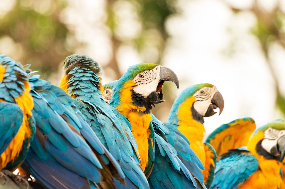 Photograph by Christofer Silva Oliveira