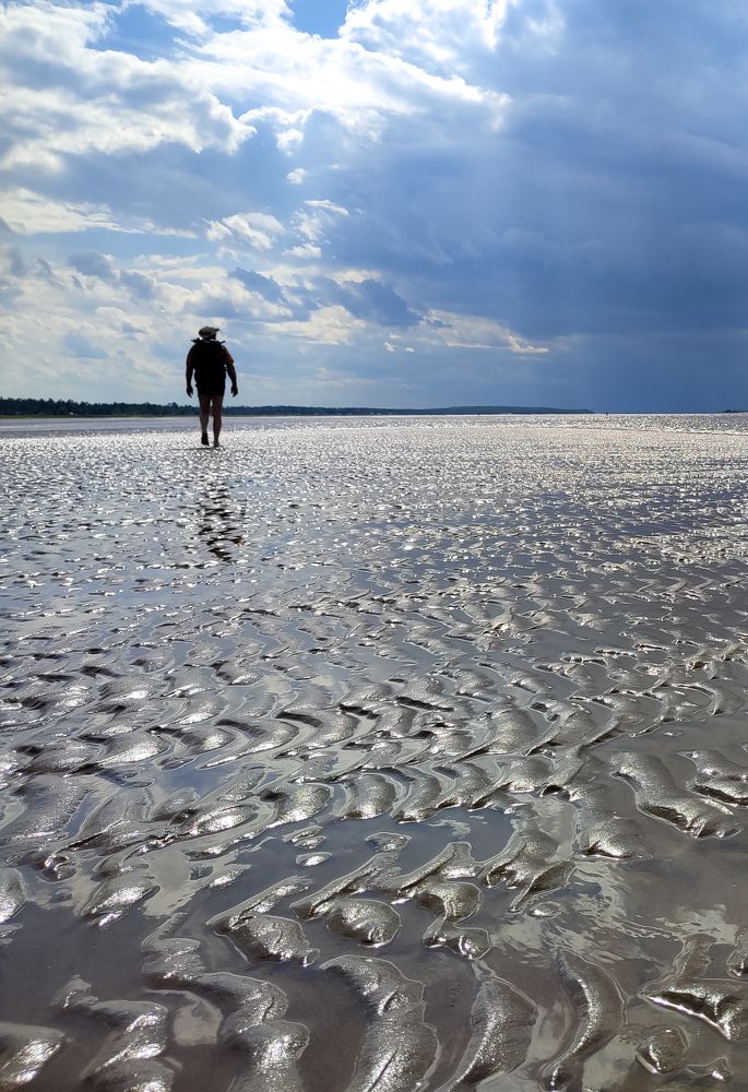 Photograph by Алёна Пшеленская