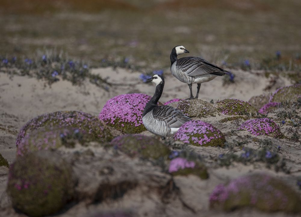 Photograph by Владислав Костылев