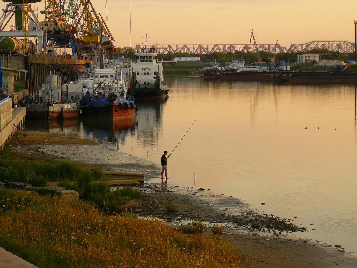 Photo #9342696
