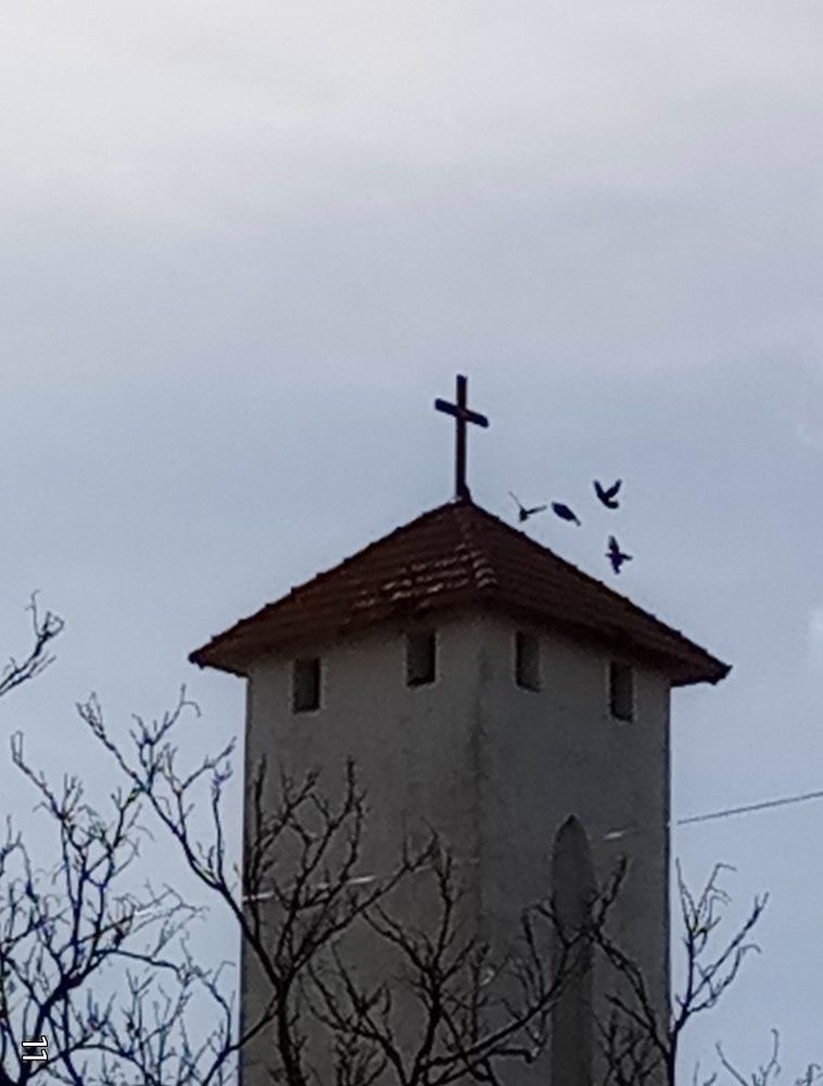 Photograph by Lorena Veronica Guzman