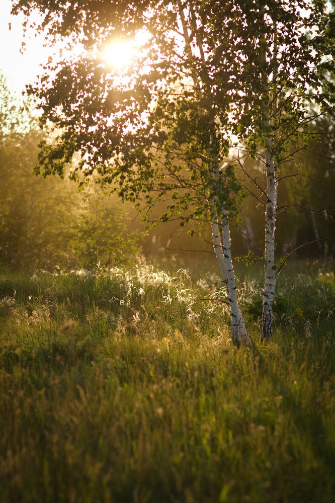 Photograph by Евгения Шубенкова