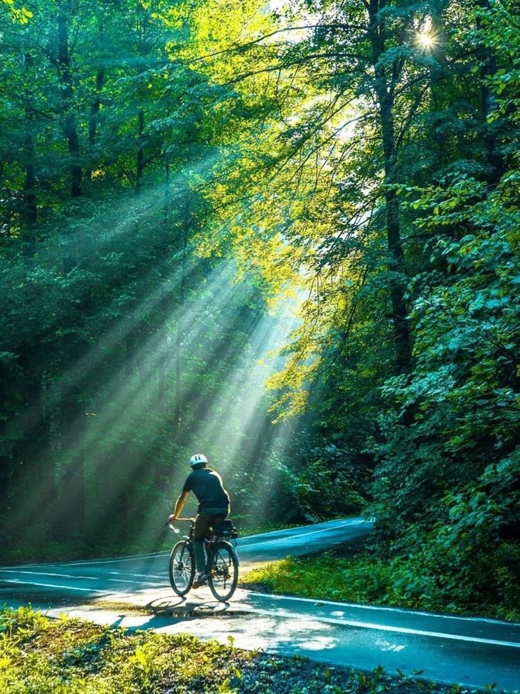 Photograph by Евгений Никонов