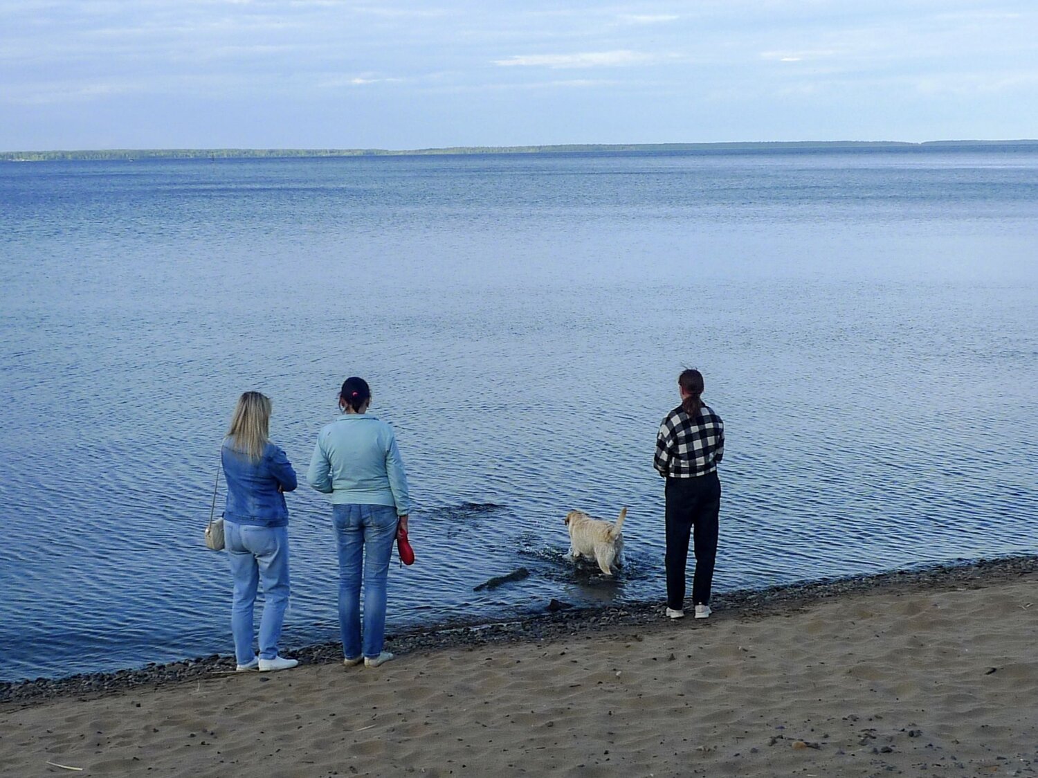 Photo #9342813