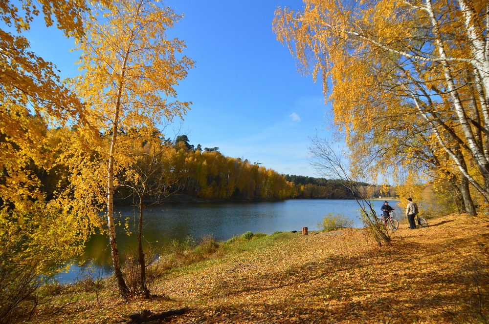 Фотография автора Клавдия Васильева