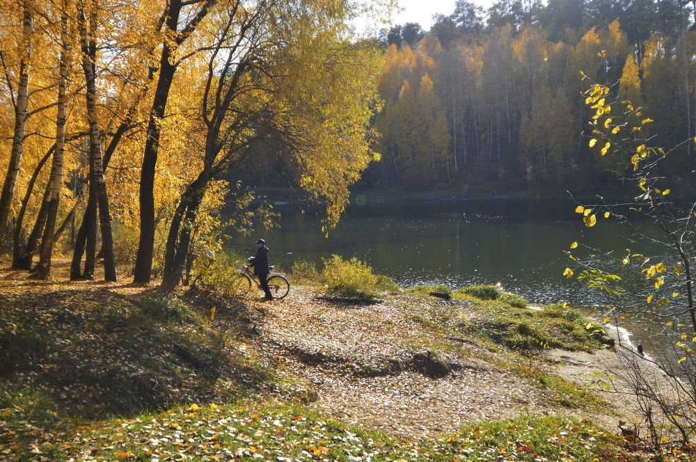 Фотография автора Клавдия Васильева