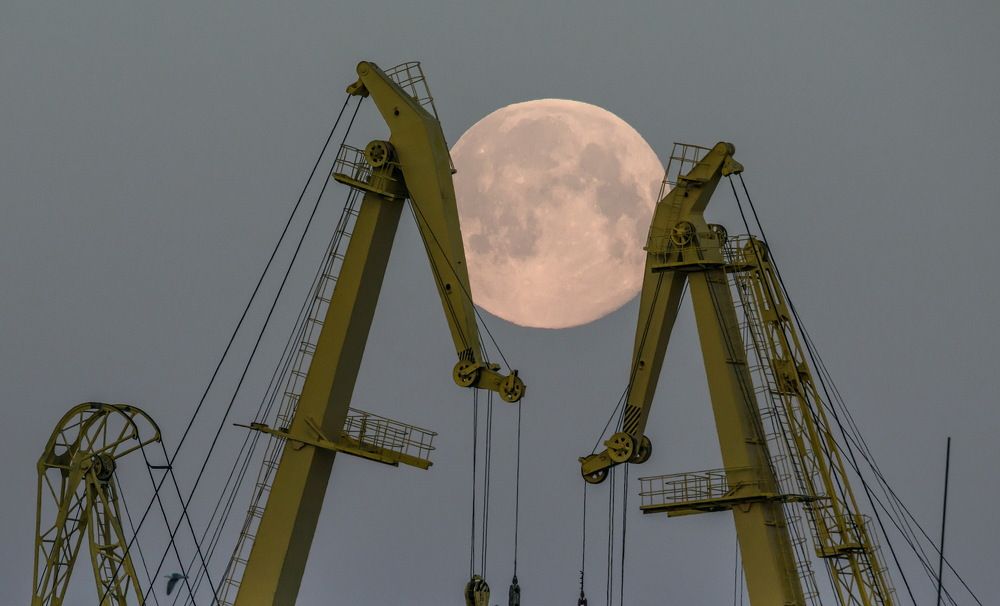 Photograph by Смирнов Валерий