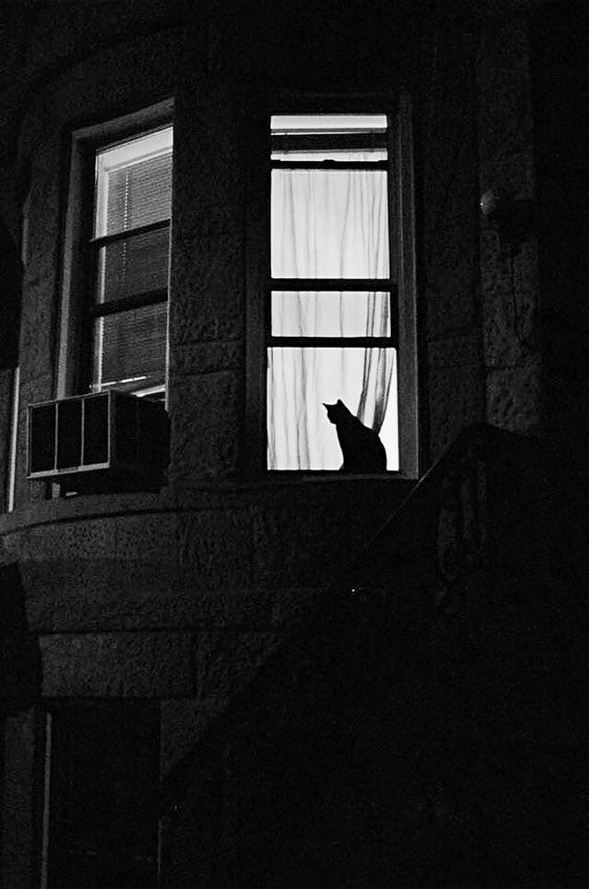 Photograph by Евгений Никонов