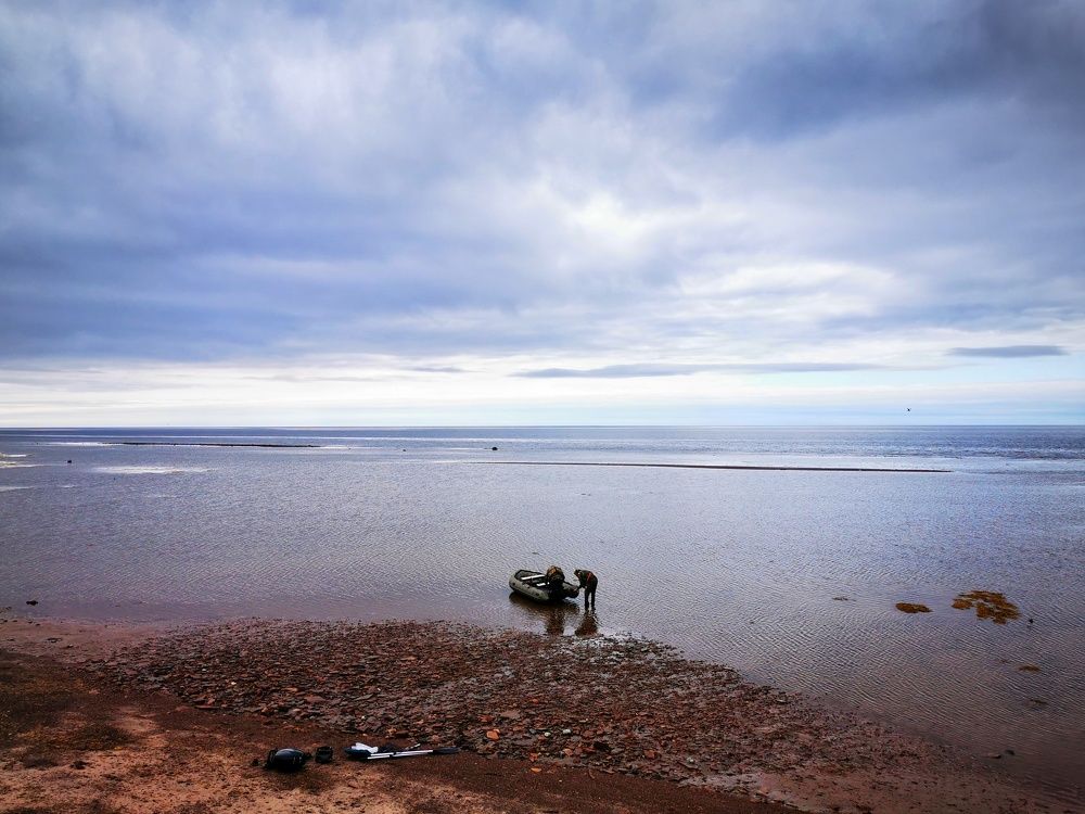 Photograph by Елена Артёменко