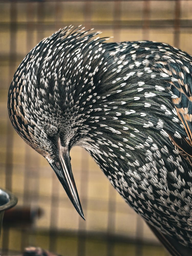 Photograph by Сергей Степаненко