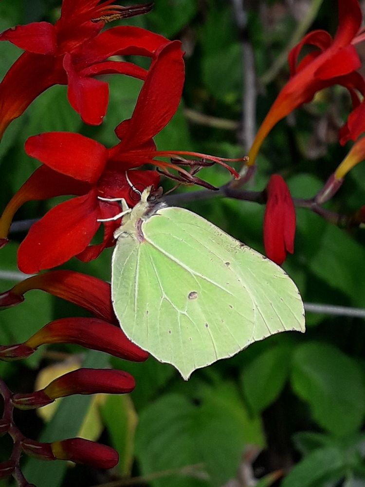 Photograph by Татьяна Солтан