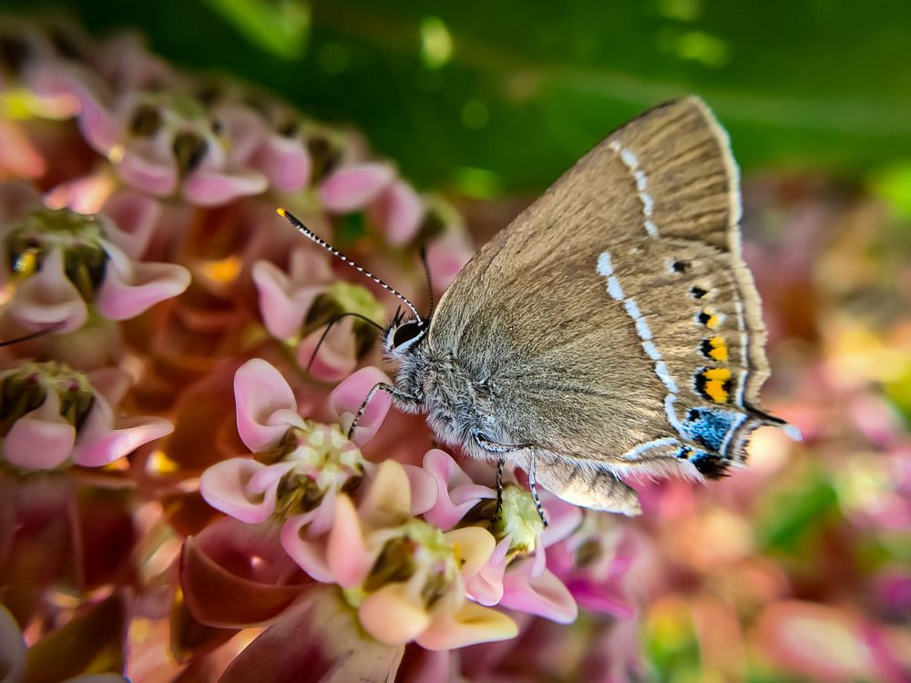 Photograph by Igor Medvedev