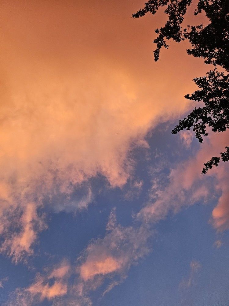 What color is your sky?