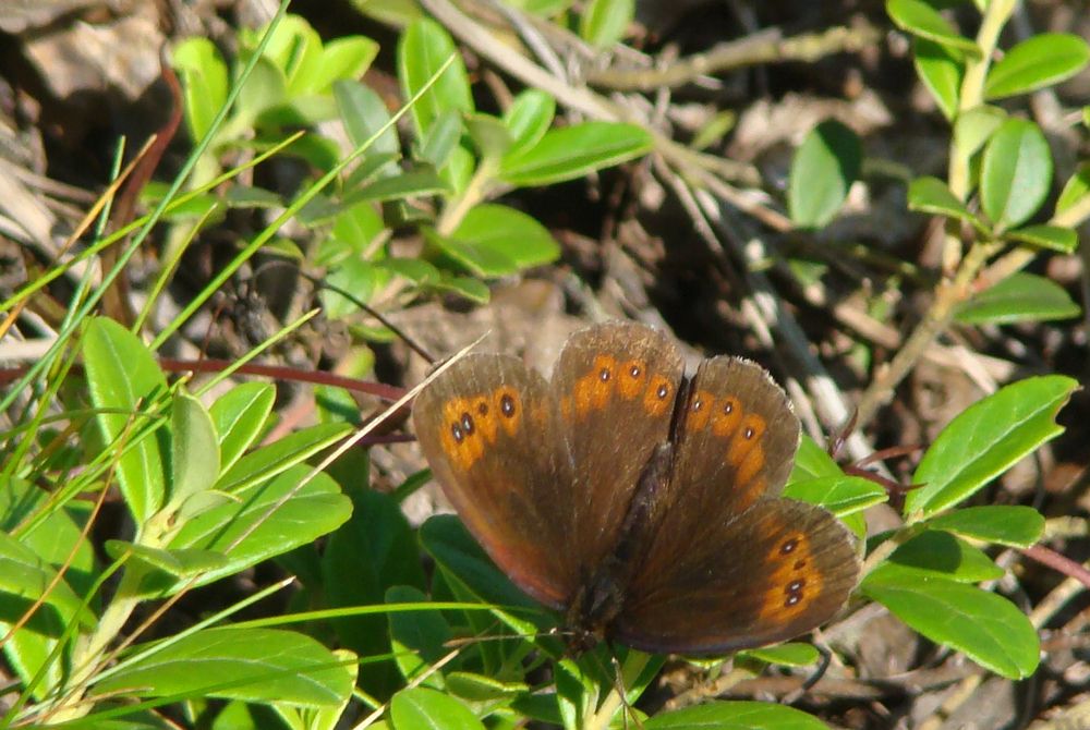 Photograph by Boris Butianov