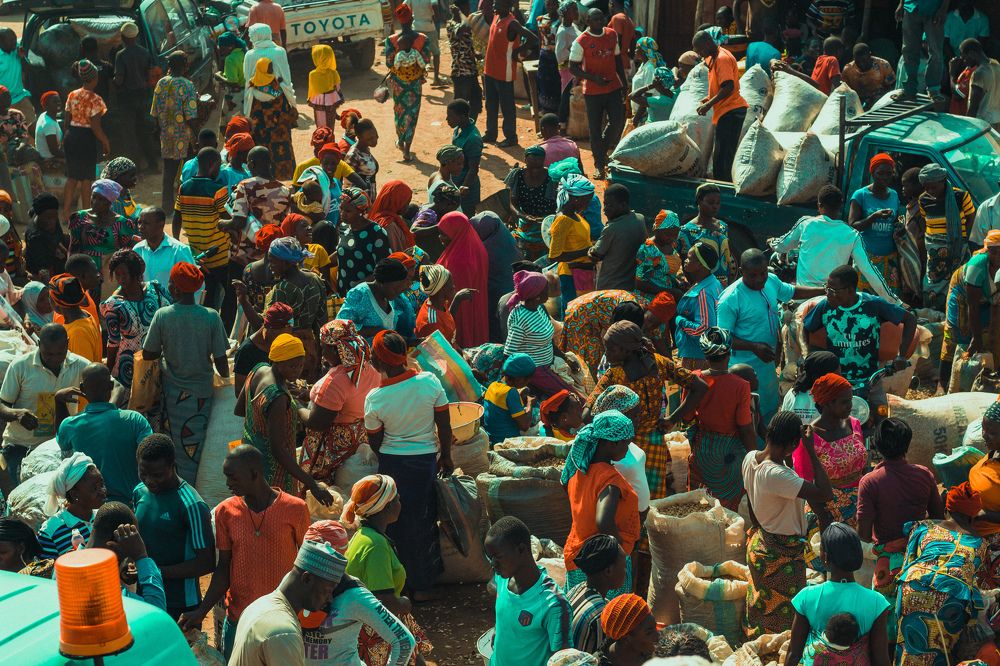 Photograph by Bature