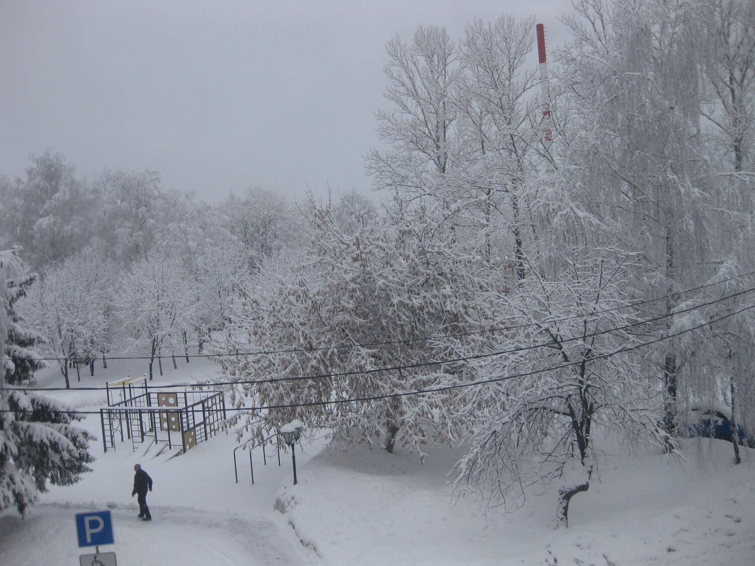 Photo #9343321