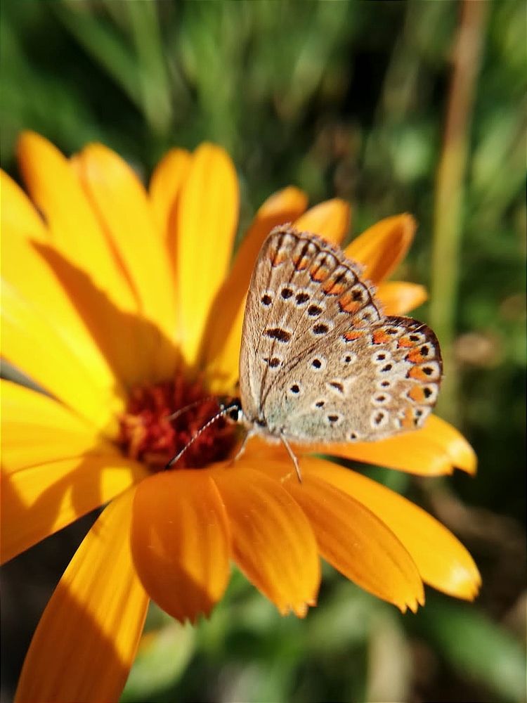 Photograph by Galina Novichkova