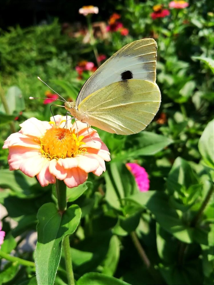 Photograph by Galina Novichkova