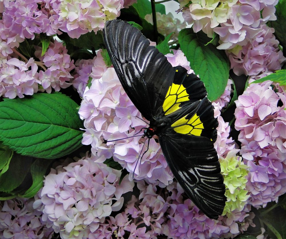 Photograph by Оксана Архипова