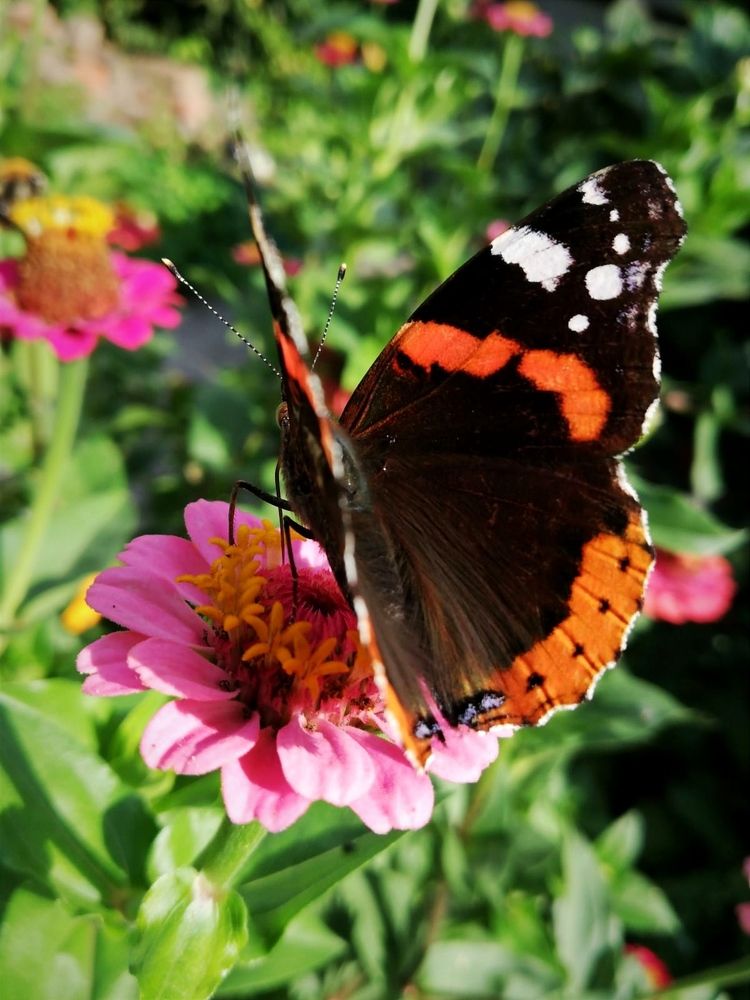 Photograph by Galina Novichkova