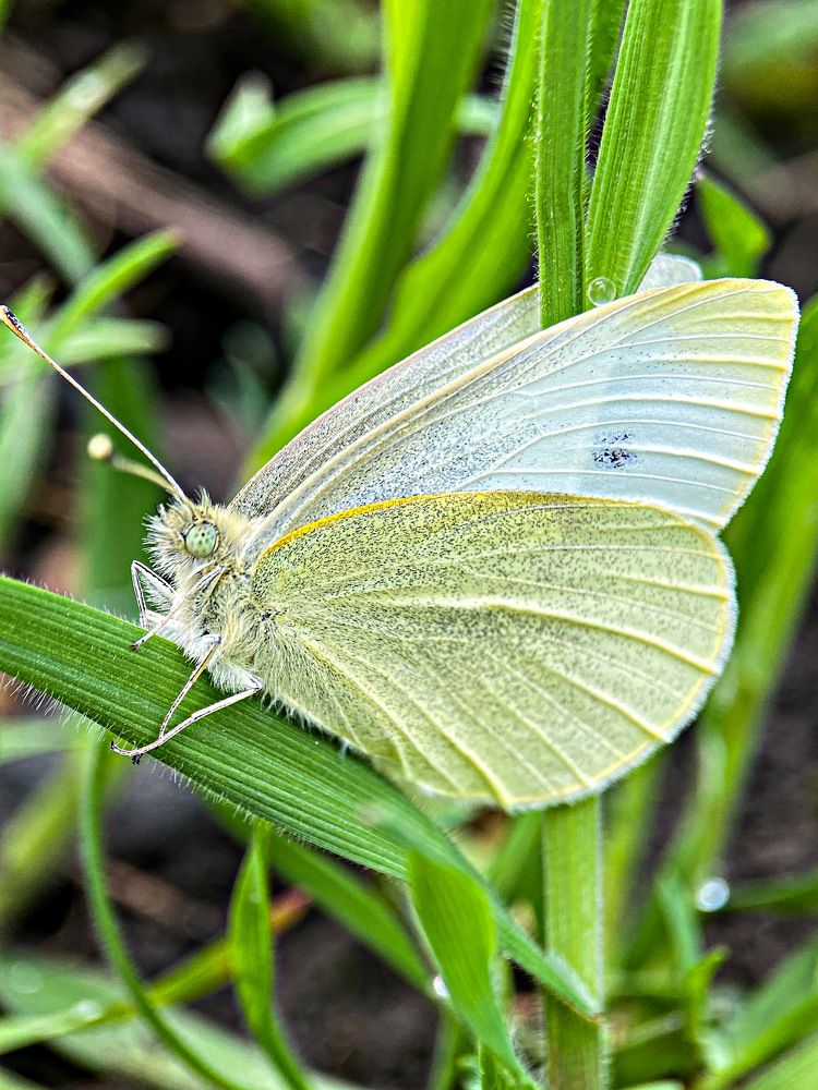 Photograph by Александра Гонтарь