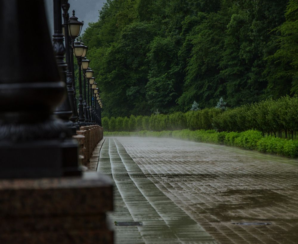 Photograph by Михаил Kolesnik