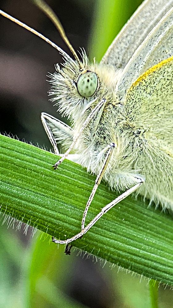 Photograph by Александра Гонтарь