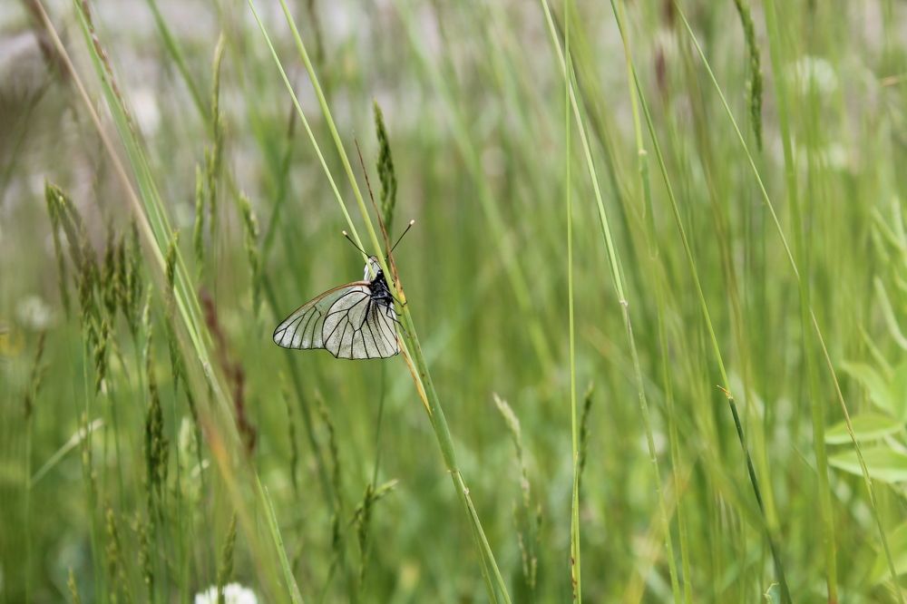 Photograph by Ирина Поваляева