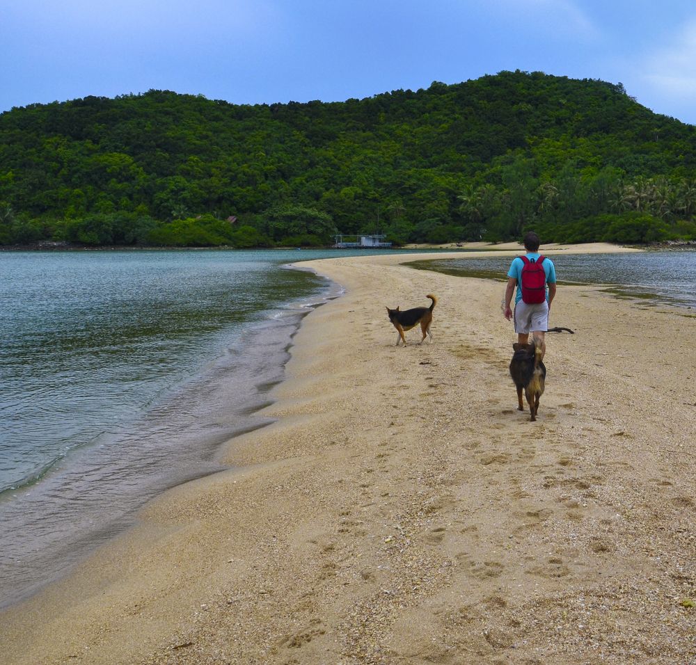 Photograph by Михаил Kolesnik