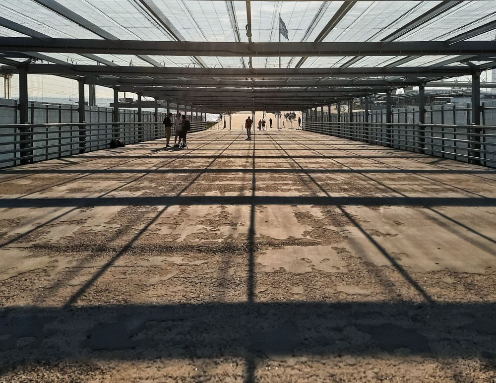 Фотография автора Ольга Виноградова