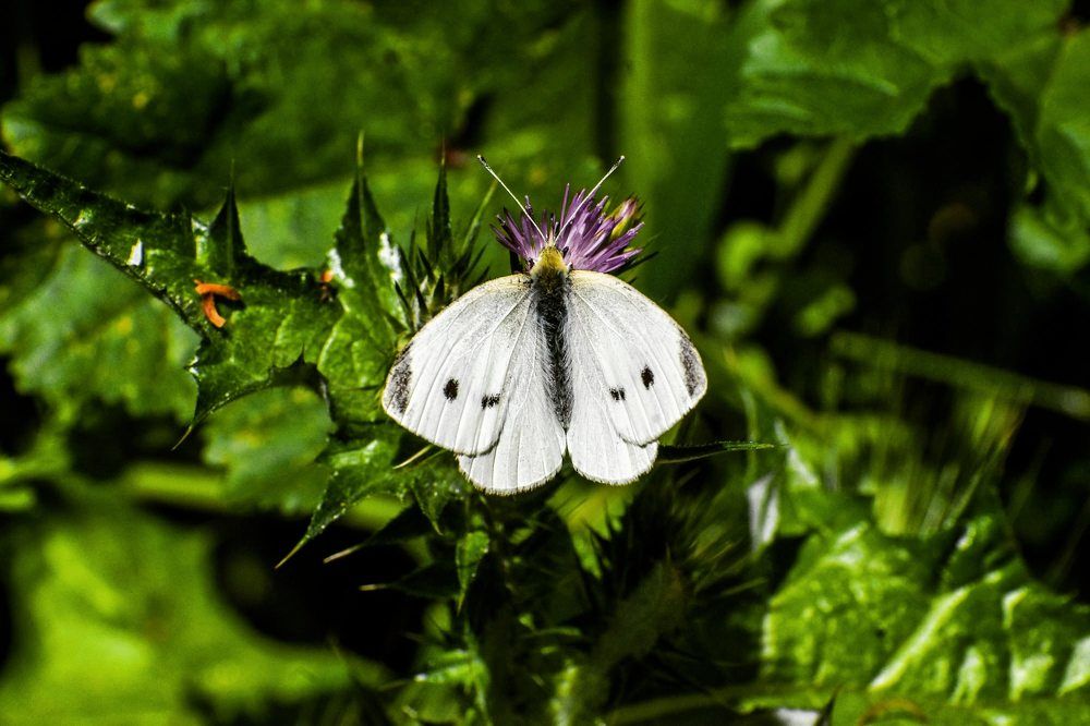 Photograph by Efi Laskari