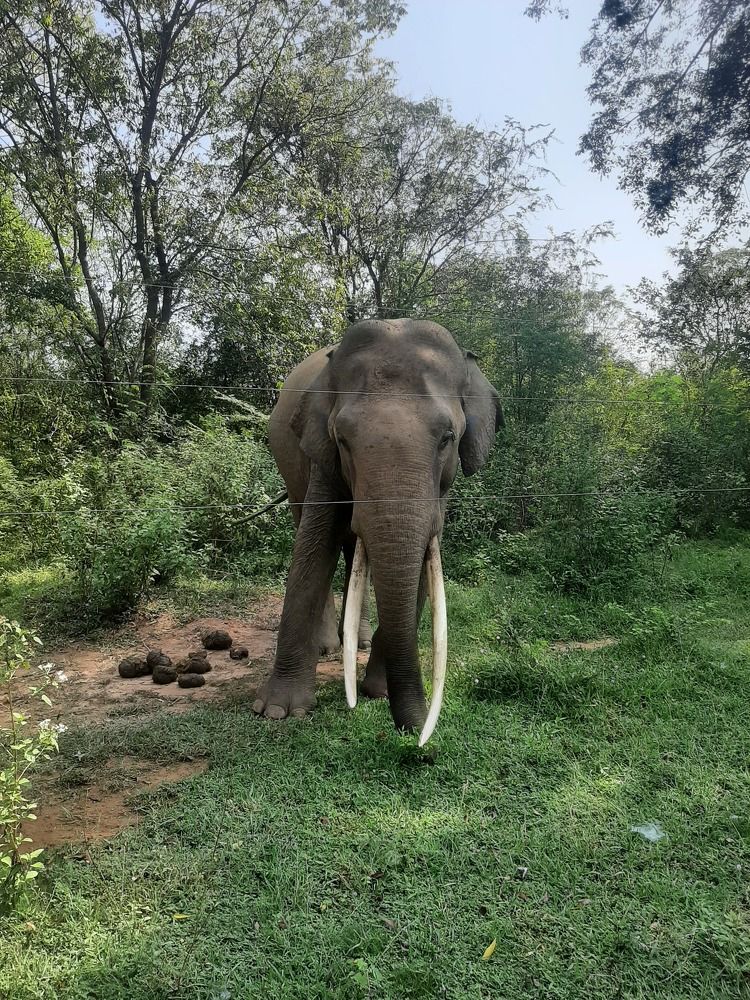 Photograph by Natalya Vasilenko