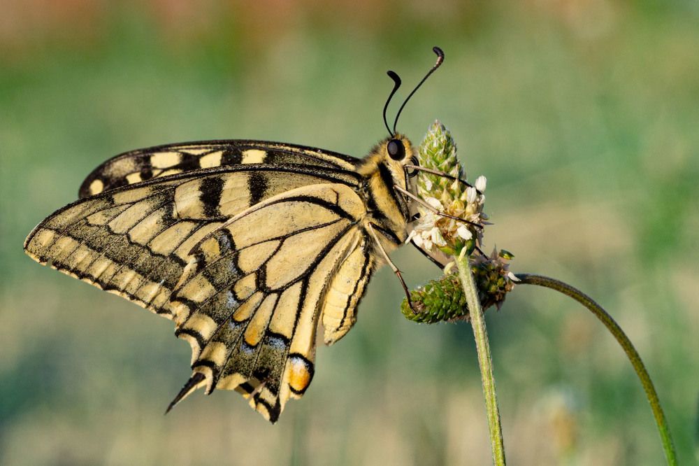 Photograph by Hasan Bayrak