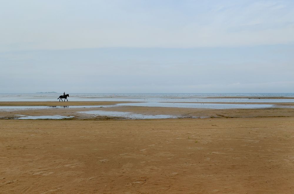 Всадник / The horseman