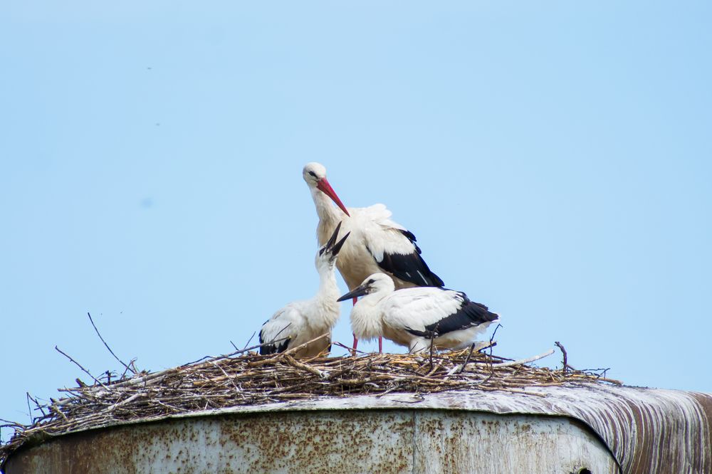 Photograph by Оксана Савенко