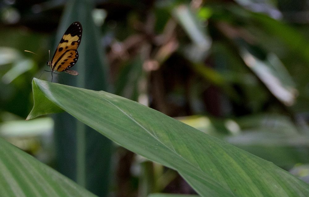 Photograph by Photo Ninenine