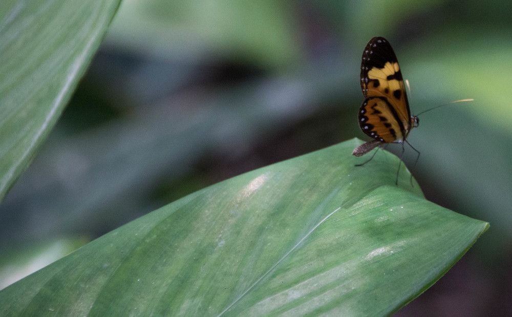 Photograph by Photo Ninenine