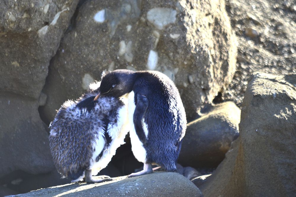 Photograph by Gabriel Cabott