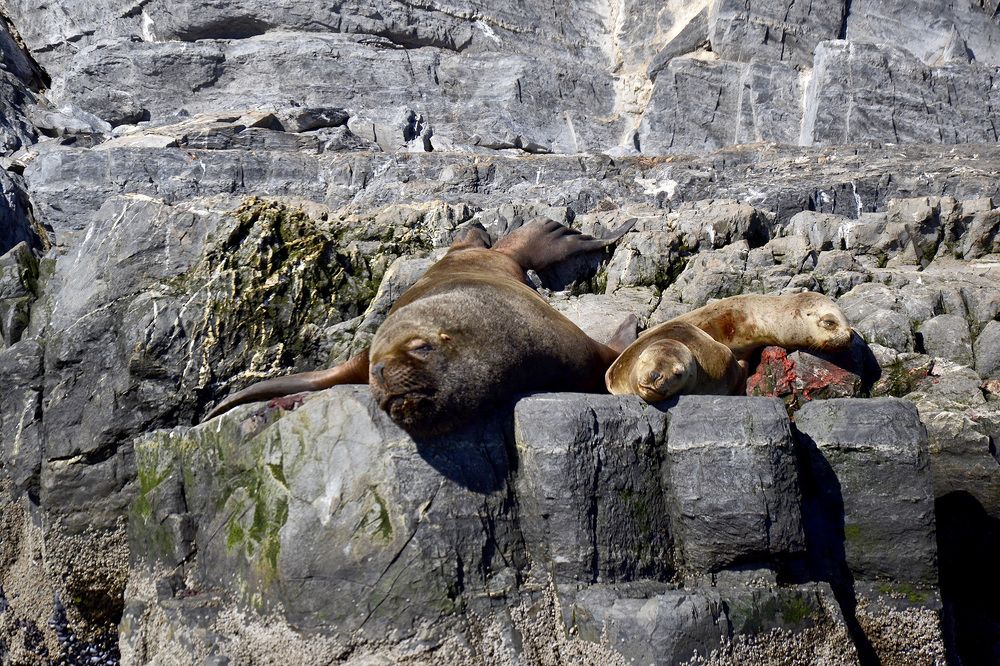 Photograph by Gabriel Cabott