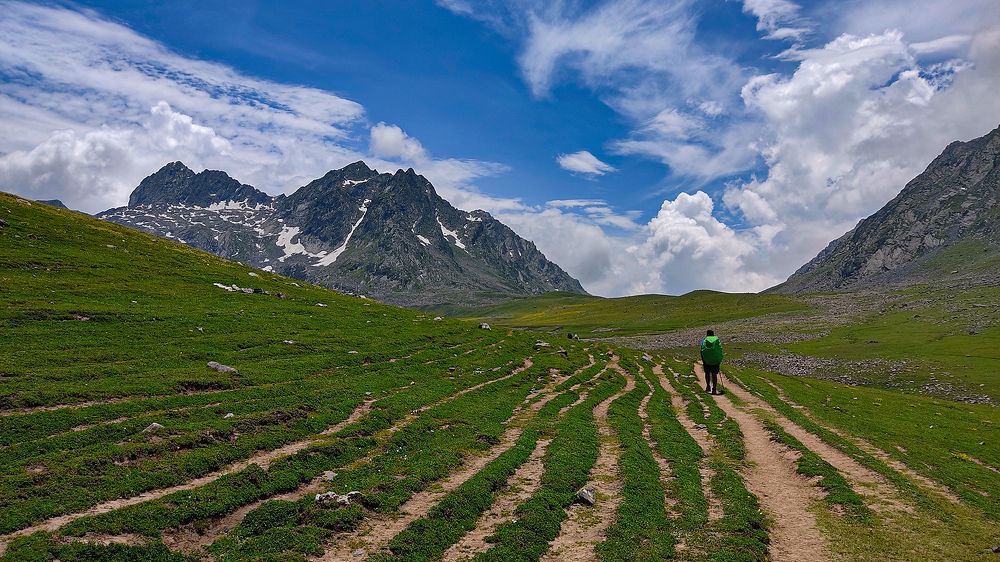 Photograph by Debanjan Das