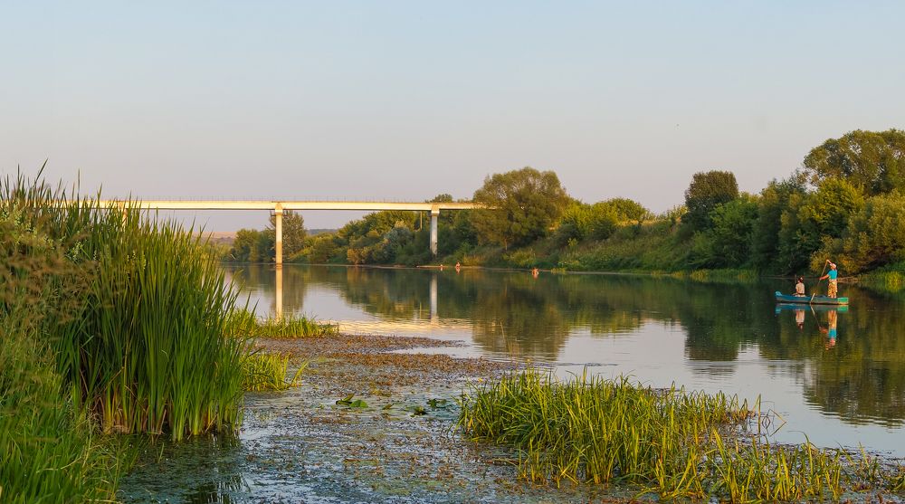 Фотография автора Николай Бологов