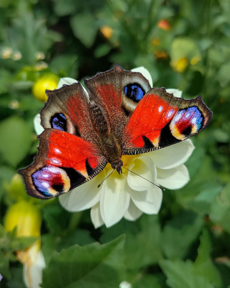 Фотография автора Марина Борисова