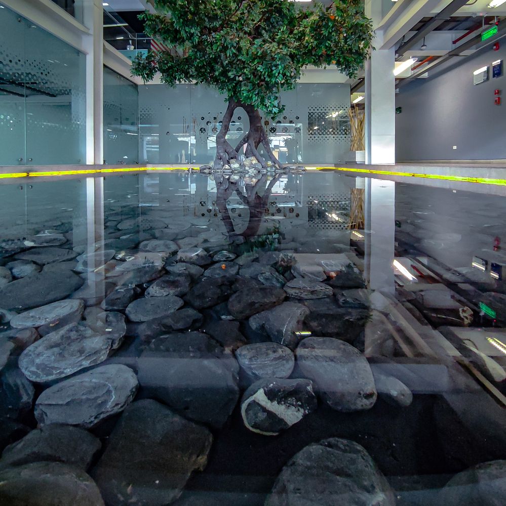 Photograph by Marcelo Espinosa